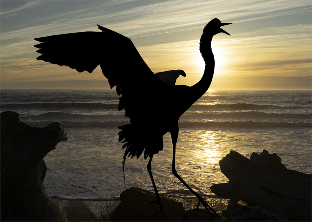 February 2020 - Assigned Subject  - Carole Lane - Great Egret at Sunset